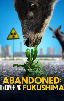 Uncovering Fukushima
