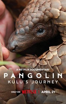 Pangolin: Kulu's Journey Pangolin: Kulu's Journey