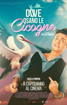 Dove osano le cicogne Dove osano le cicogne
