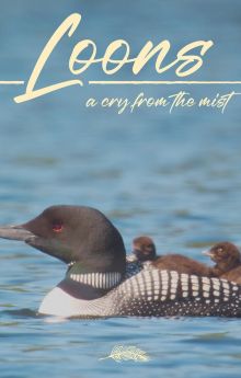 Loons: A Cry from the Mist