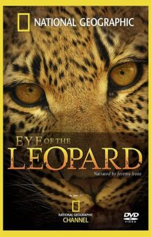 Eye of the Leopard