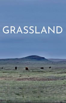 Grassland Grassland