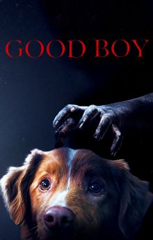 Good Boy Good Boy